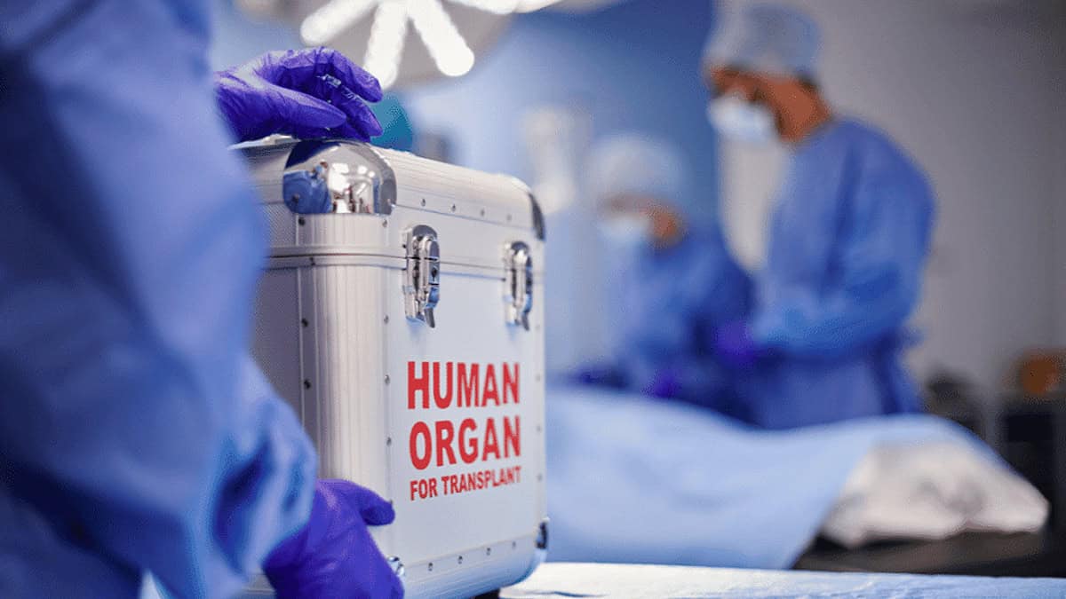 Mujer despierta del coma antes de que la sometieran a una cirugía de extracción de órganos