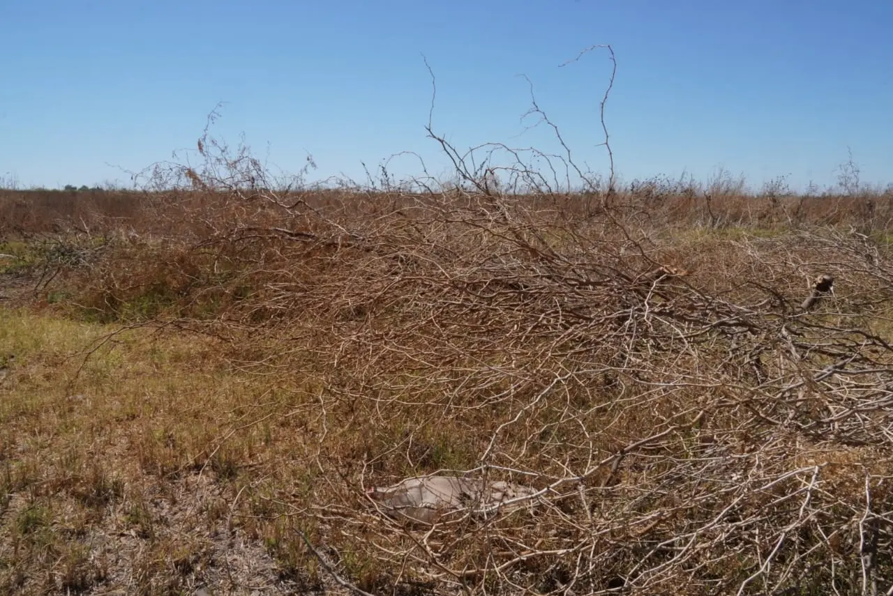 Nuevo ciclo agrícola se encuentra incierto