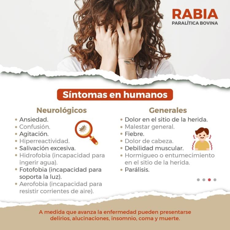 imagen-cuerpo imagen-cuerpo