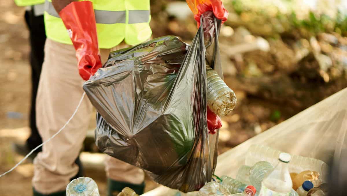 CDMX tendrá una nueva modalidad de recolección de basura para facilitar el reciclaje