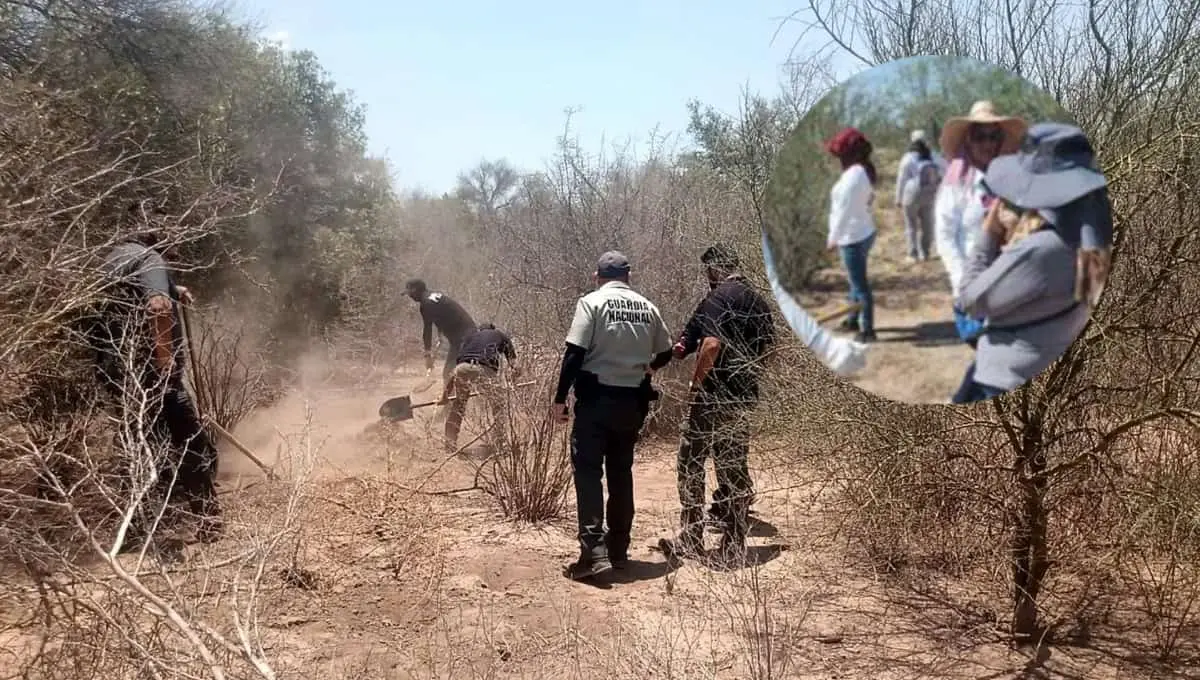 Más de 50 fosas clandestinas gracias a colectivos de búsqueda en Sonora. Foto: Original