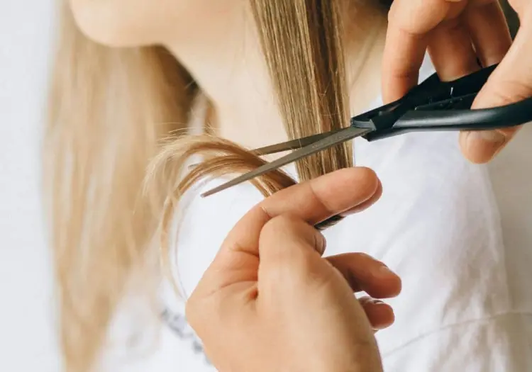 Calendario Lunar de Septiembre: ¿Cuándo conviene cortarse el pelo?
