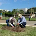 Inicia Itson reforestación universitaria