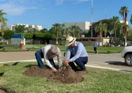 Inicia Itson reforestación universitaria