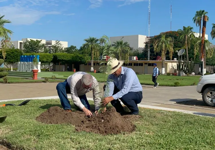 Inicia Itson reforestación universitaria