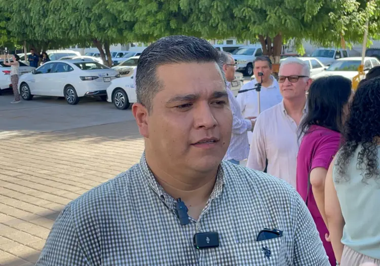Vecinos confunden árboles caídos con talas y los denuncian