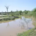Regresa el agua al Río Mayo