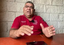 Aumentan ataques de abejas en Etchojoa hasta 70%