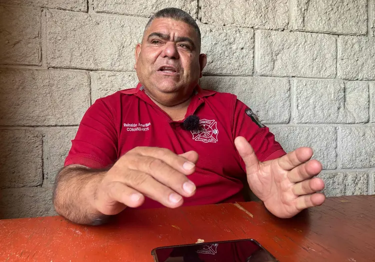 Aumentan ataques de abejas en Etchojoa hasta 70%