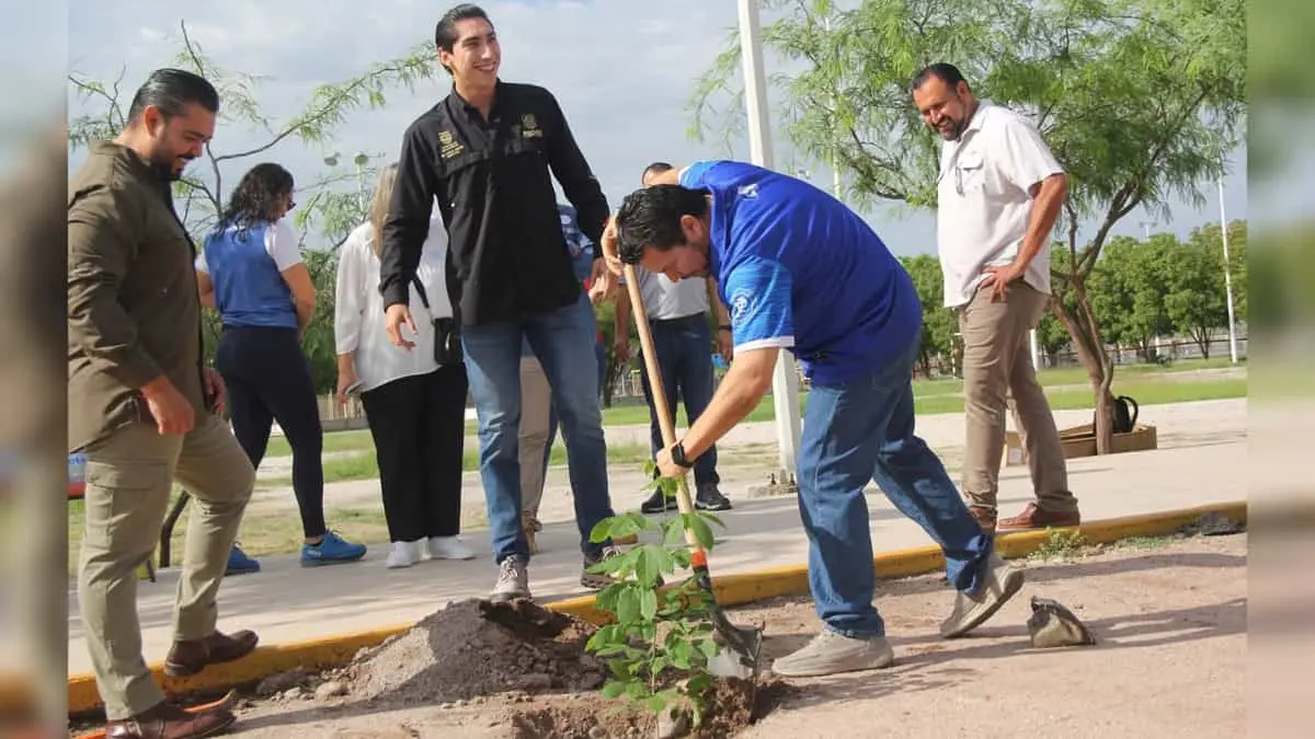 Impulsa el Itson la reforestación