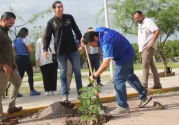 Impulsa el Itson la reforestación