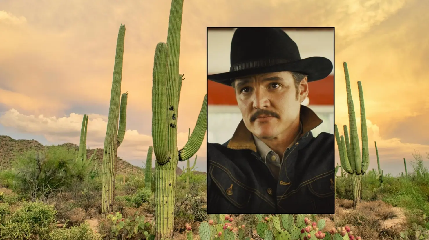 Para las autoridades locales, la película representa una ventana única para colocar a Sonora en el mapa cinematográfico internacional