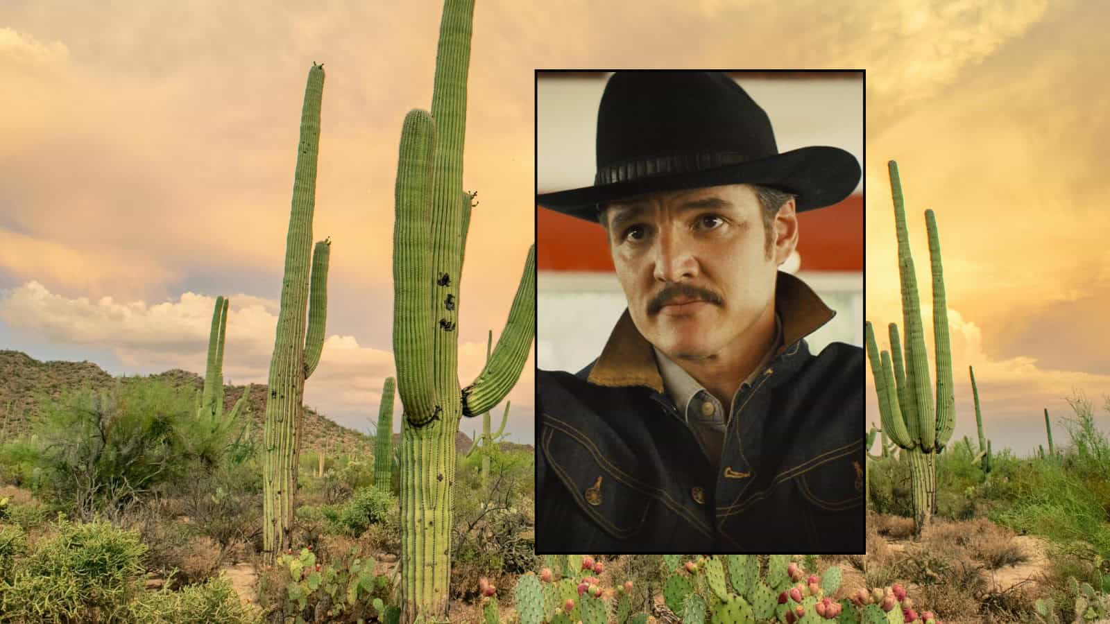 ¿Pedro Pascal en Sonora? El actor chileno podría viajar a filmar la nueva película de Todd Haynes