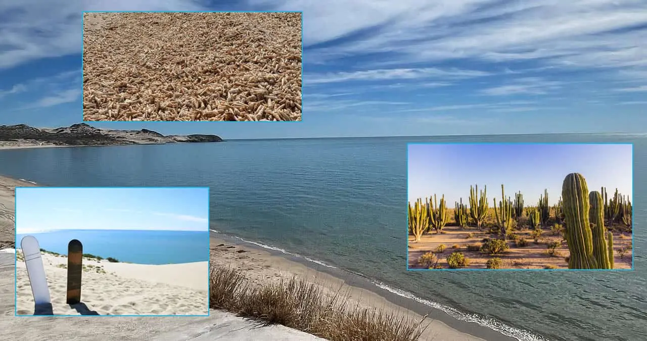 Disfruta de la belleza sin igual de la playa San Nicolás, en Sonora.