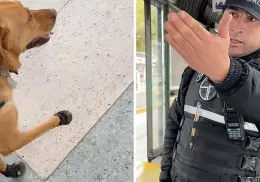 VIDEO | Policía impide a invidente subir con su perro guía al transporte público: le pide que lea las reglas