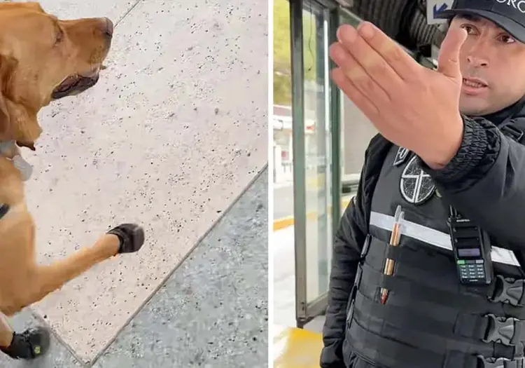 VIDEO | Policía impide a invidente subir con su perro guía al transporte público: le pide que lea las reglas