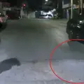 VIDEO | Reportera regia sufre fuerte caída durante en vivo: mostró hasta el apellido