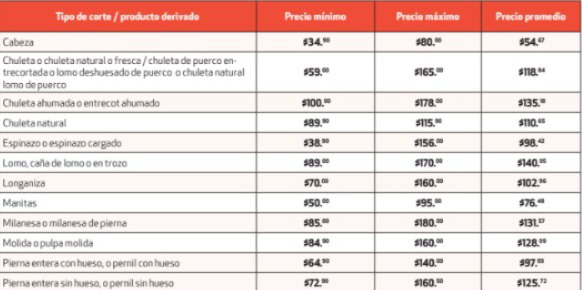 imagen-cuerpo imagen-cuerpo