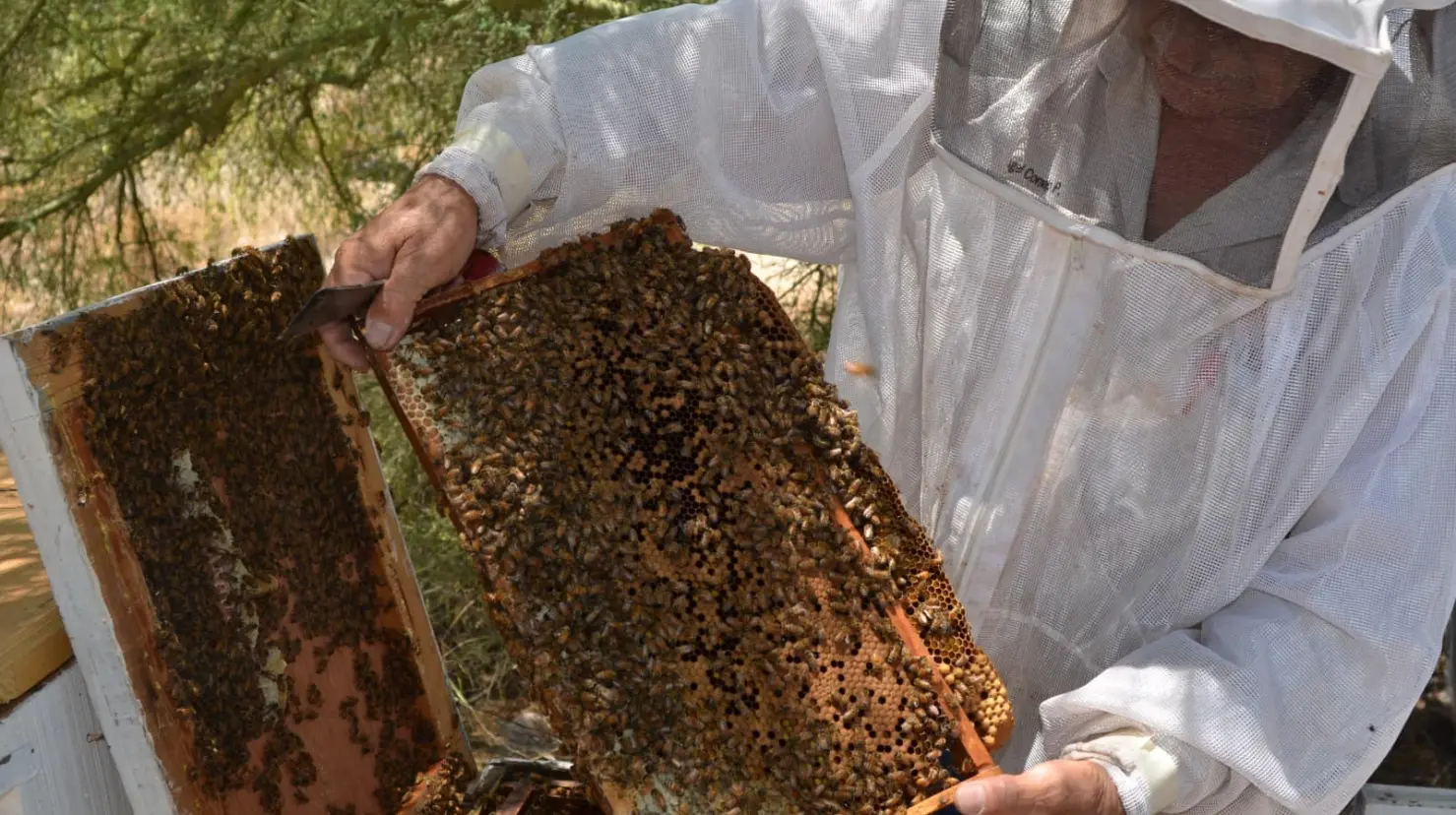 Los objetivos principales que se quieren alcanzar con este programa es contribuir a la soberanía y la autosuficiencia alimentaria nacional incrementando la producción agropecuaria, pesquera y acuícola, mejorar el bienestar económico y social de los productores, así como de los trabajadores del campo y las costas.