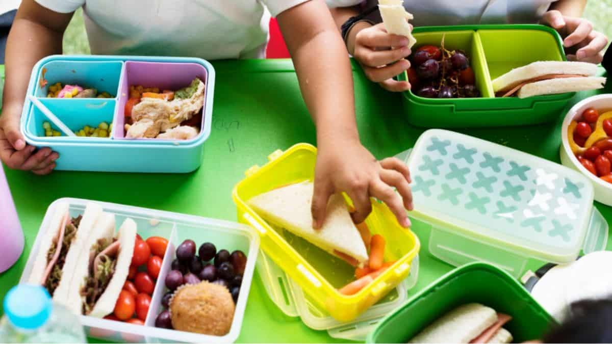 Regreso a clases 2025: ¿Qué tipo de lonche se le puede dar a los hijos?