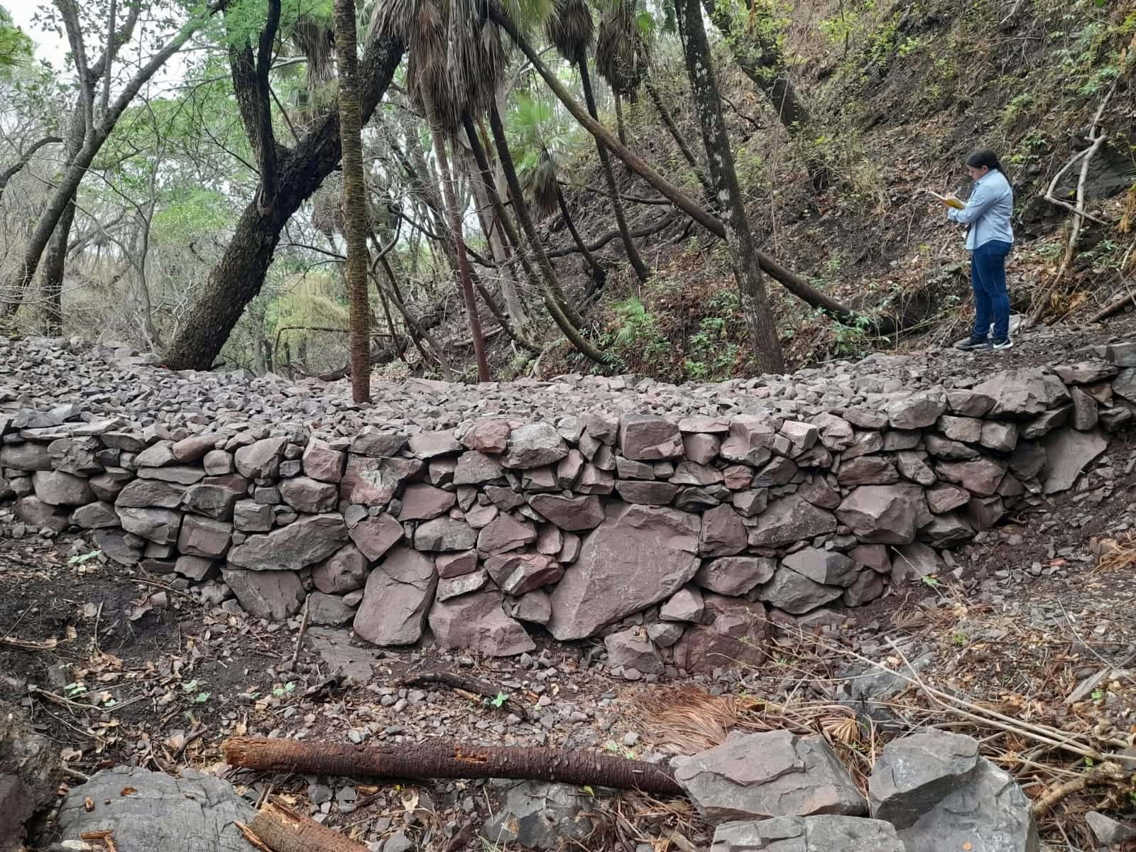 Construyen represas en Área Natural Protegida de Álamos