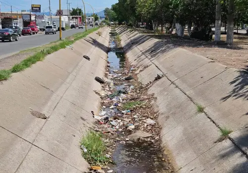 No son tiangueros quienes tiran basura