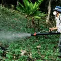 México anuncia prohibición histórica de 35 plaguicidas altamente peligrosos