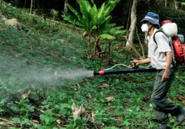 México anuncia prohibición histórica de 35 plaguicidas altamente peligrosos