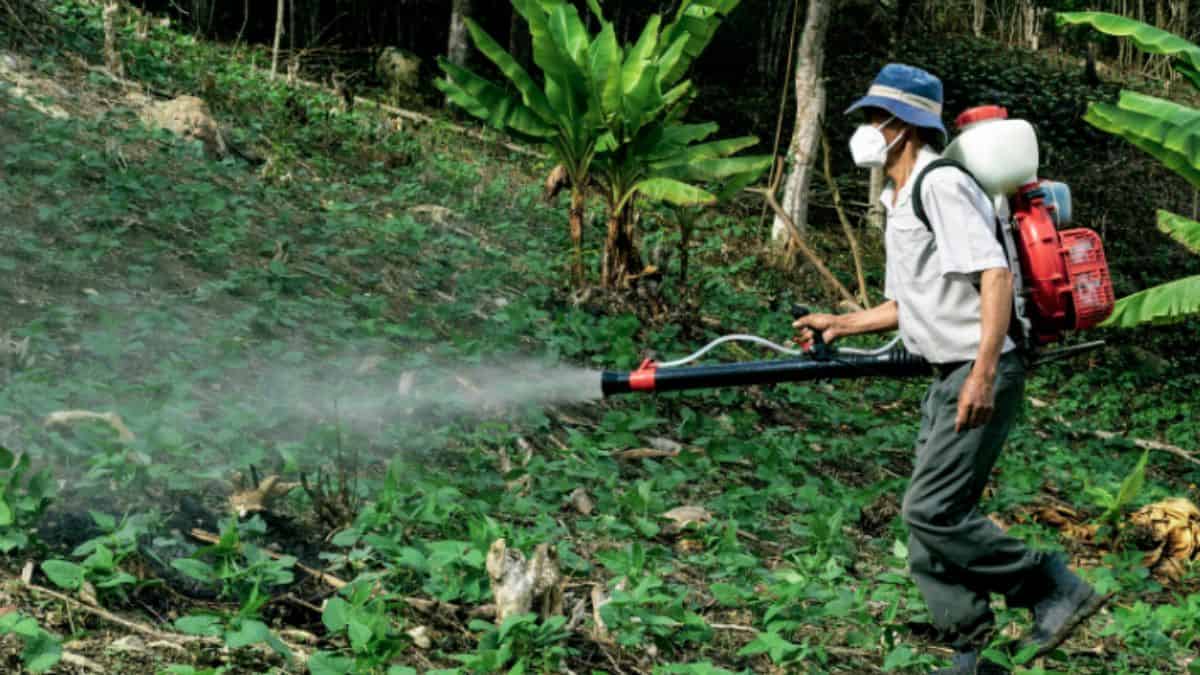 México anuncia prohibición histórica de 35 plaguicidas altamente peligrosos
