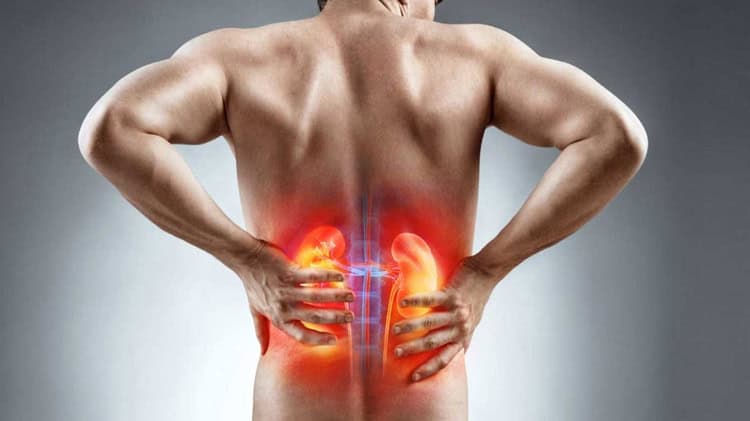 imagen-cuerpo imagen-cuerpo