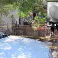 Perros atacan y matan a niñita de 4 meses; la pequeña estaba a cargo de su abuelo