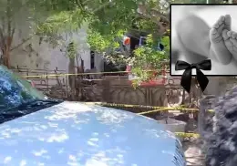 Perros atacan y matan a niñita de 4 meses; la pequeña estaba a cargo de su abuelo