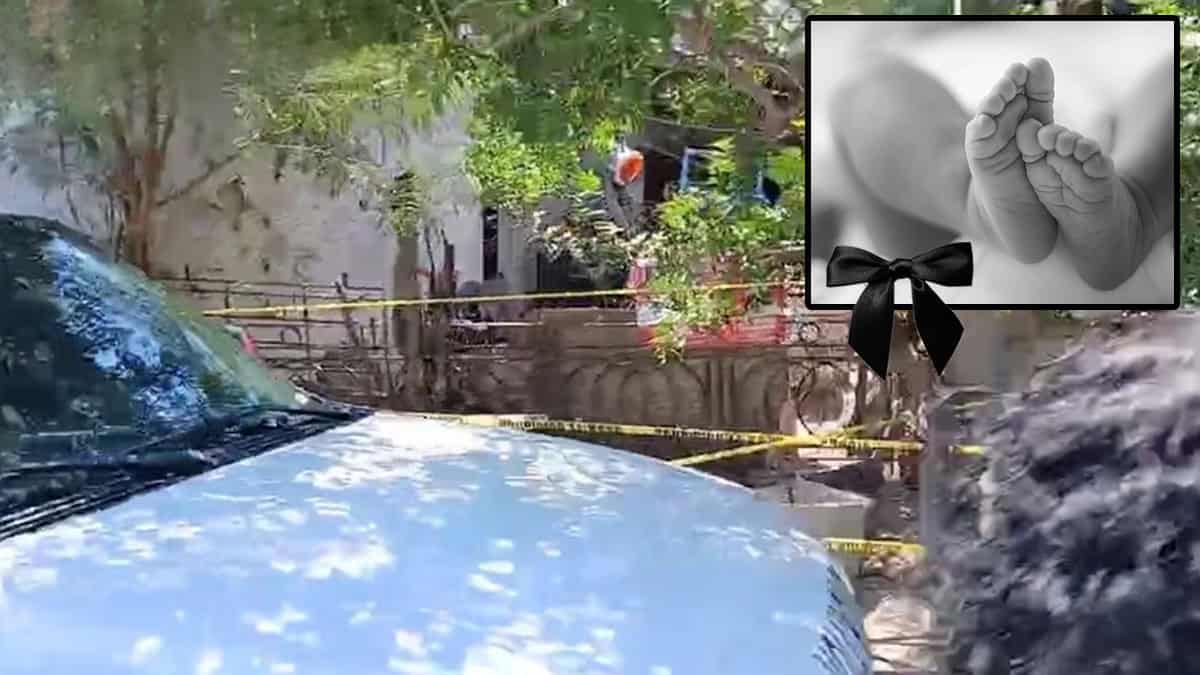 Perros atacan y matan a niñita de 4 meses; la pequeña estaba a cargo de su abuelo