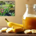 Cáscara de plátano y vinagre blanco: para qué sirve licuado y cómo hacerlo