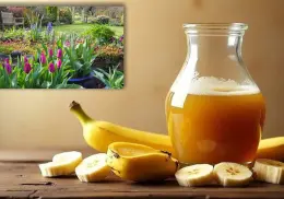 Cáscara de plátano y vinagre blanco: para qué sirve licuado y cómo hacerlo