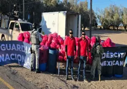 Decomisan más de una tonelada de droga en SLRC; hay dos detenidos