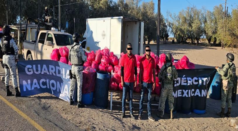 Decomisan más de una tonelada de droga en SLRC; hay dos detenidos