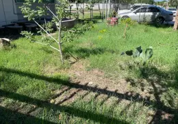 Lorena no dejó problemas en escuelas de Cajeme
