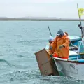Sader simplifica trámites de pesca en Sonora