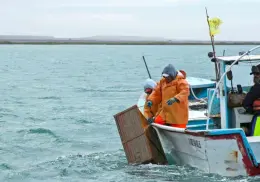 Sader simplifica trámites de pesca en Sonora