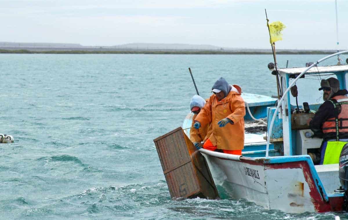 Sader simplifica trámites de pesca en Sonora