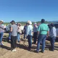 Inspecciona USDA ganado en Sonora