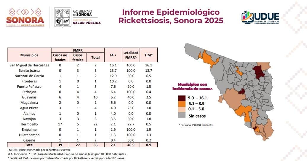 Tiene rickettsia letalidad del 41% en Sonora