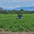 Responde gobernador Durazo a productores del sur de Sonora