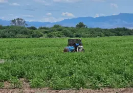 Responde gobernador Durazo a productores del sur de Sonora