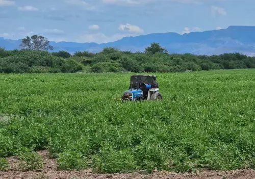 Responde gobernador Durazo a productores del sur de Sonora