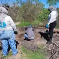 Buscadoras por la Paz Sonora reportan nuevo hallazgo