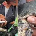 Celular chamuscado en explosión de pipa de gas ayudó a la localización de familiares de alumna de la UNAM