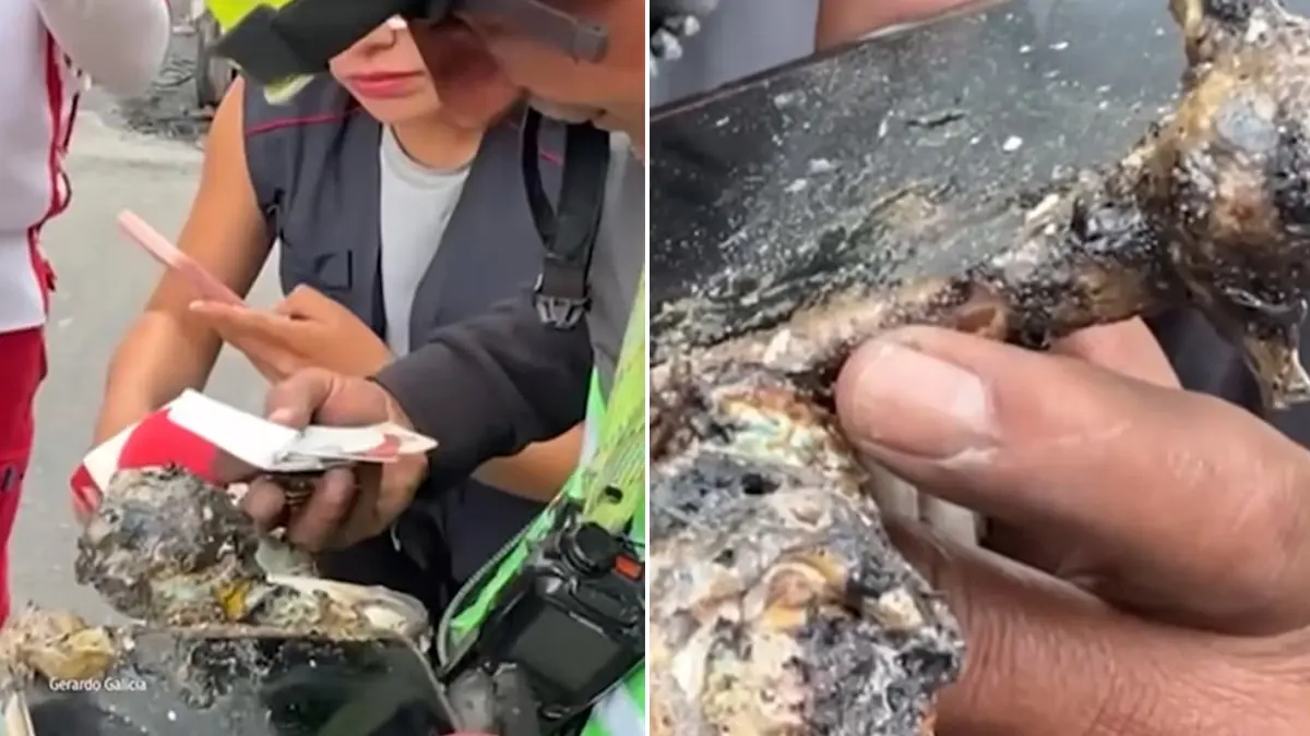 Celular chamuscado en explosión de pipa de gas ayudó a la localización de familiares de alumna de la UNAM