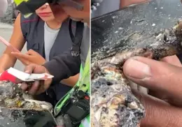 Celular chamuscado en explosión de pipa de gas ayudó a la localización de familiares de alumna de la UNAM